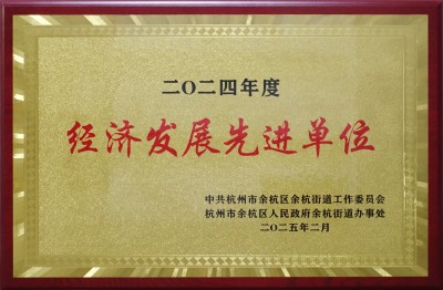 城西德奥荣获“2024年度经济发展先进单位”荣誉称号